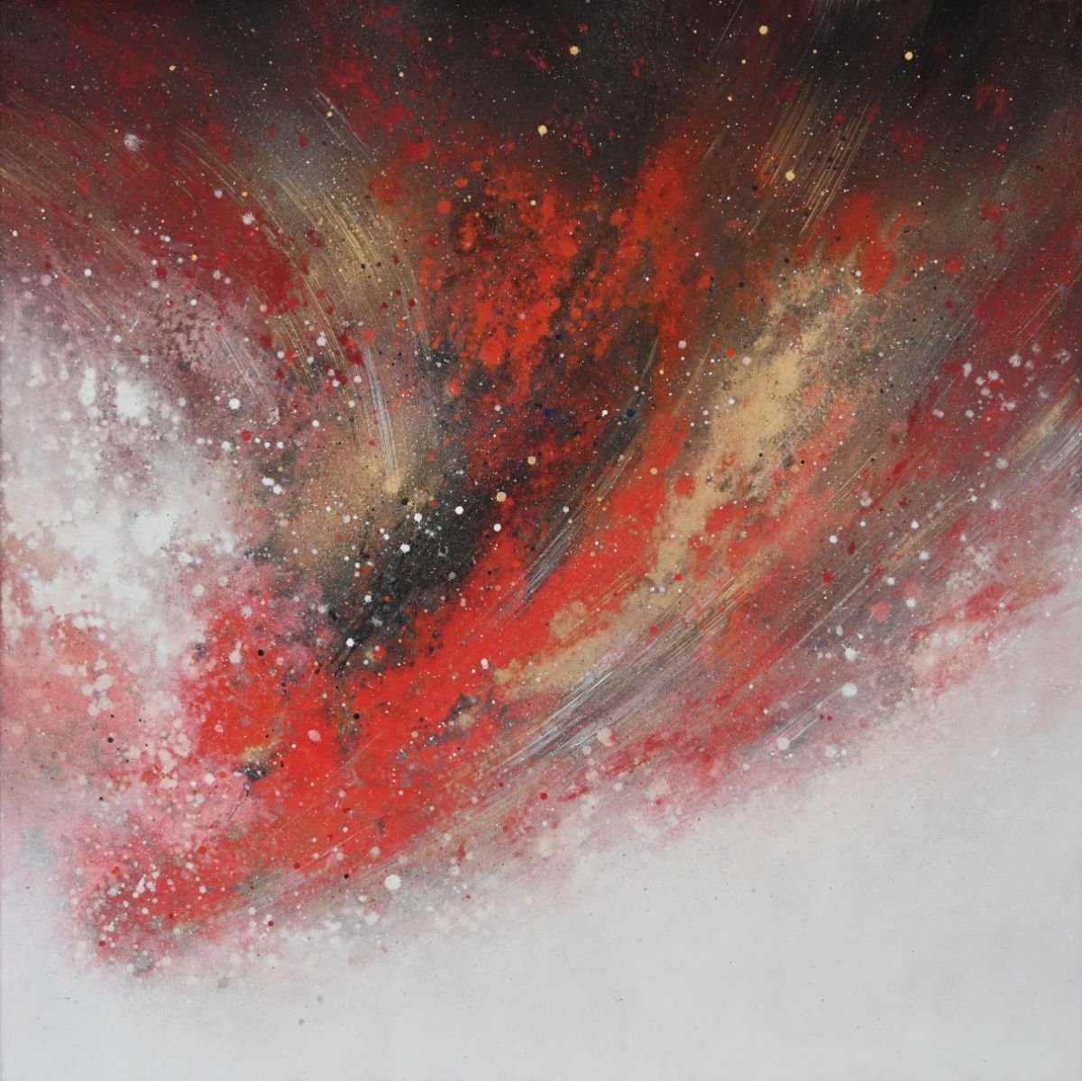 Solstice(Altum) 至点-秋 / 2024 / H117 W117